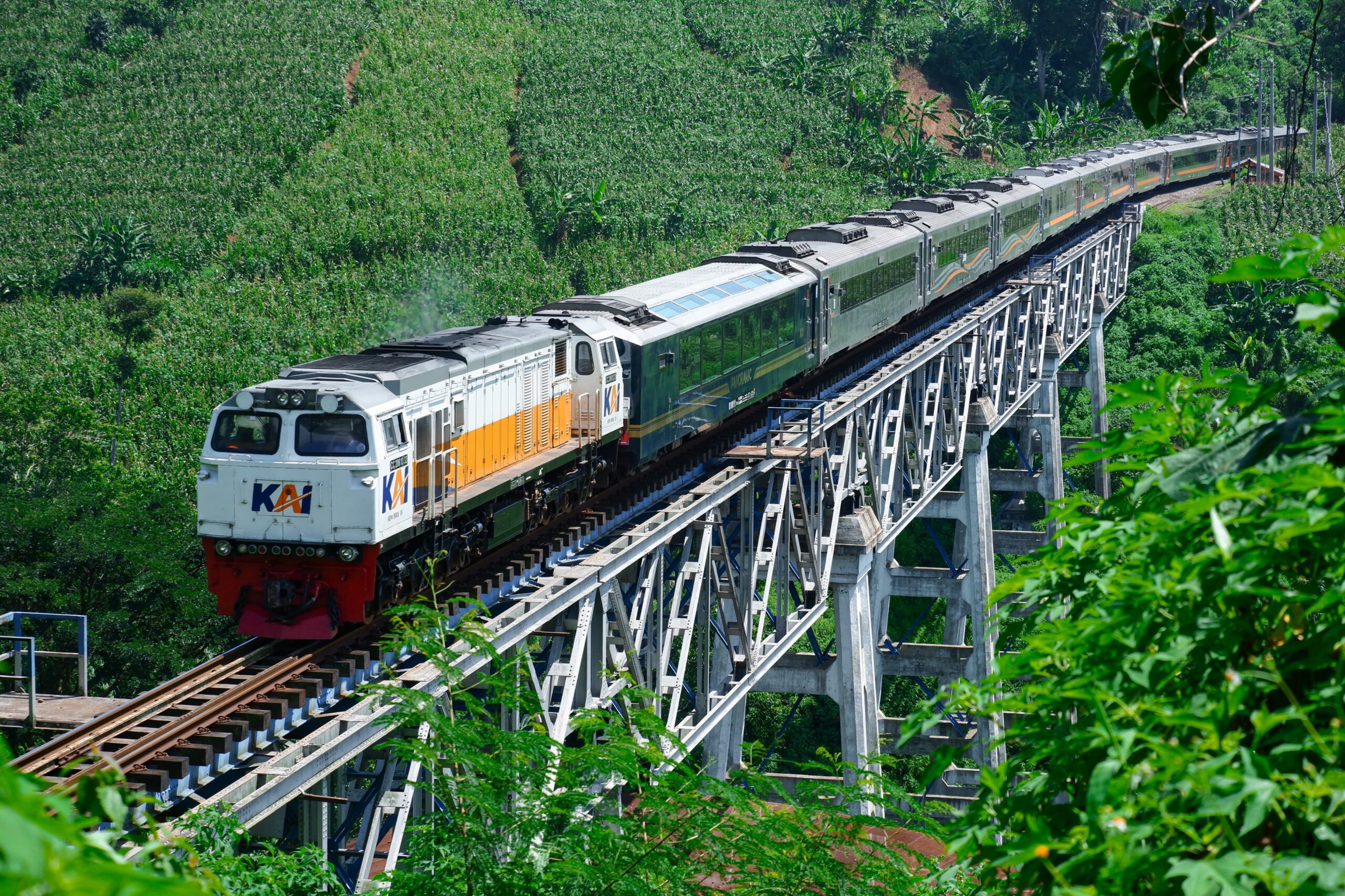 Menikmati Keindahan Alam Indonesia dengan Kereta Panoramic